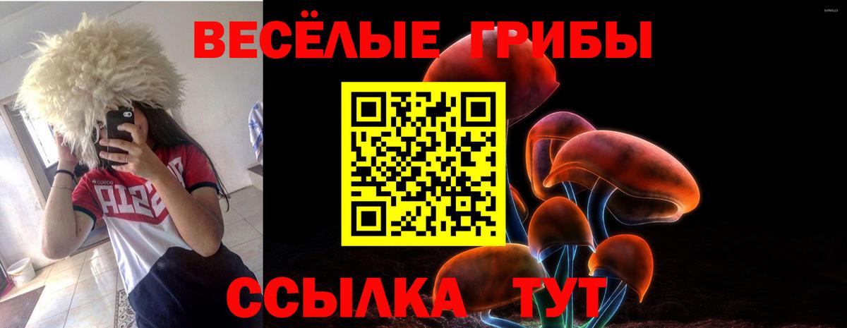Псилоцибиновые грибы GOLDEN TEACHER  Галлюциногенные грибы MAGIC MUSHROOMS  Сызрань  Вход с VPN 